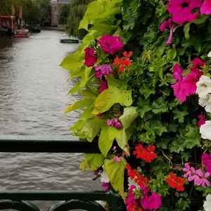 Meet your Posher, Meri